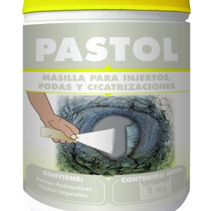 PASTOL PROFESIONAL 1kg