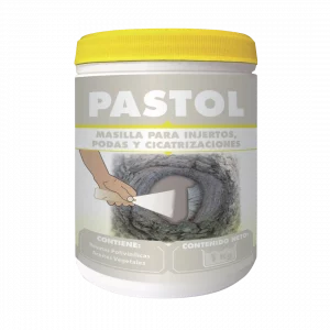 PASTOL PROFESIONAL 1kg